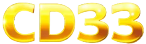 bdcd333.com Logo